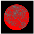 Buildings 14 01217 i004