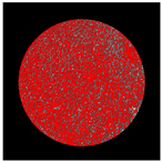 Buildings 14 01217 i007