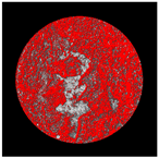 Buildings 14 01217 i008