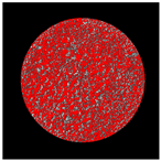 Buildings 14 01217 i009