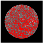 Buildings 14 01217 i010