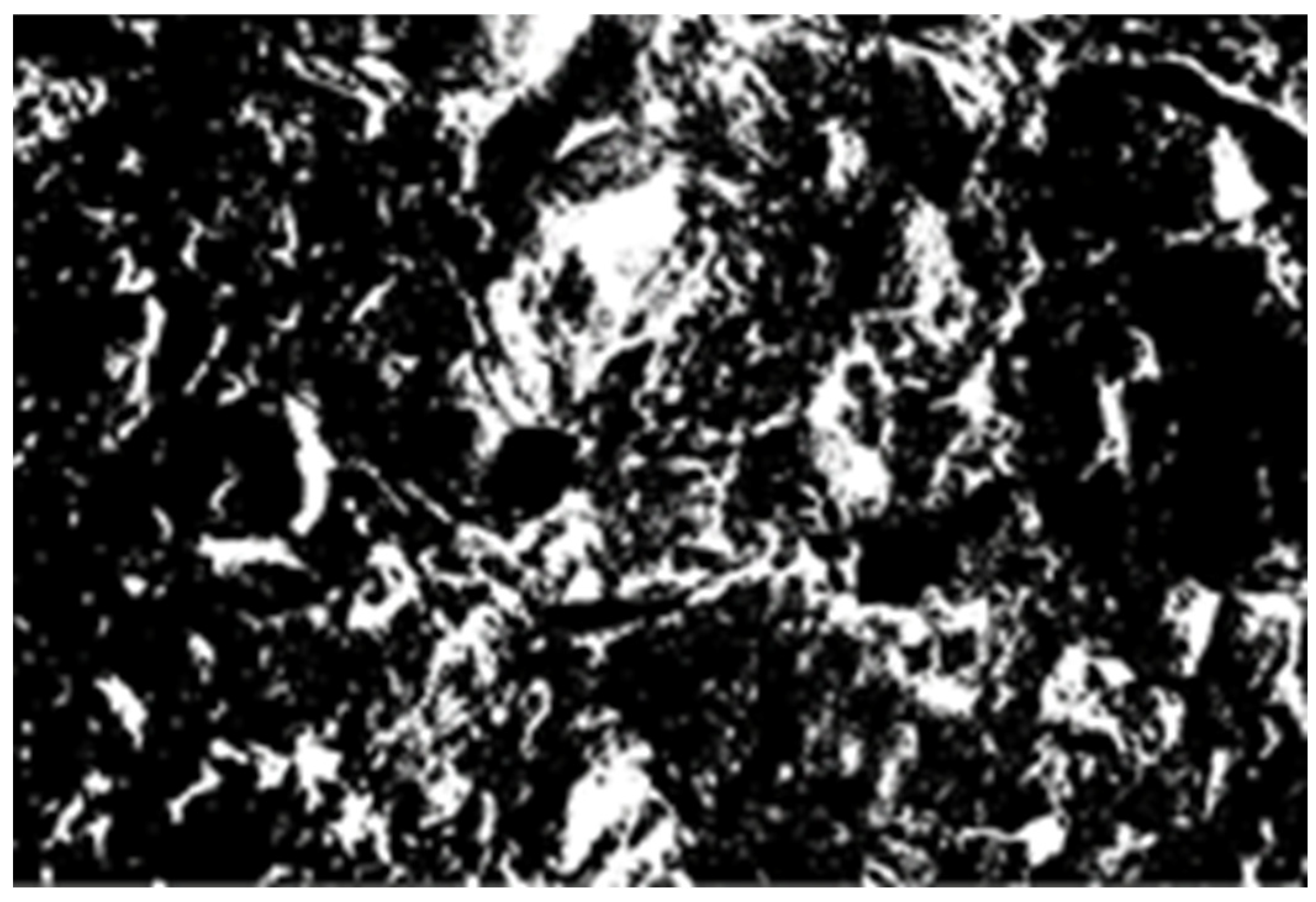 Buildings 14 01495 g021