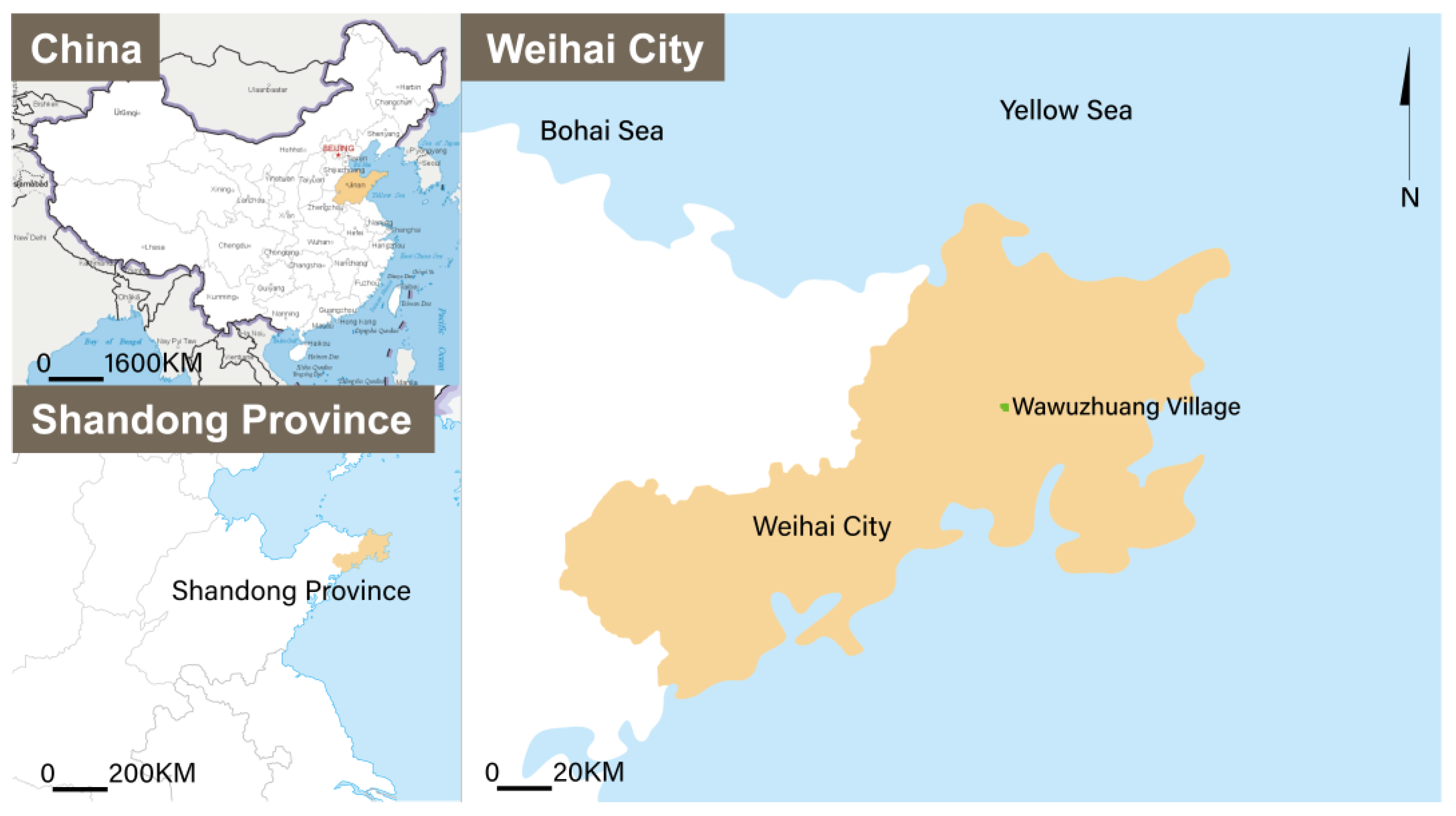 Buildings 14 01538 g002