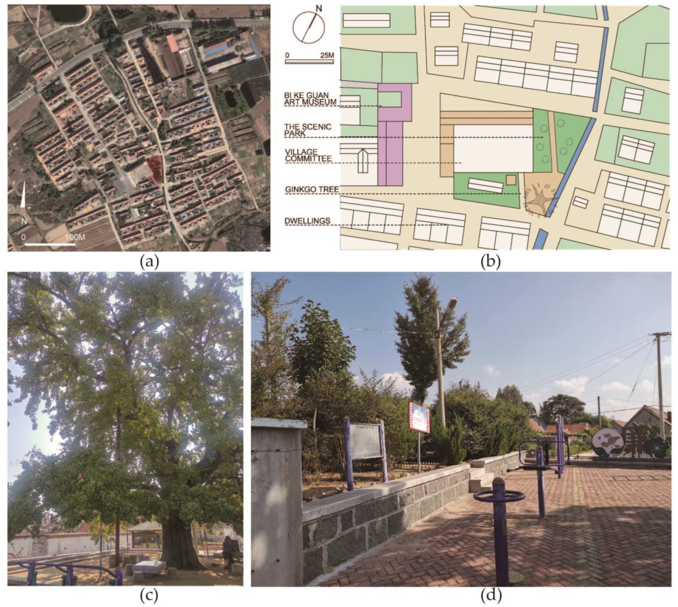 Buildings 14 01538 g003