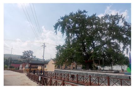 Buildings 14 01538 i002