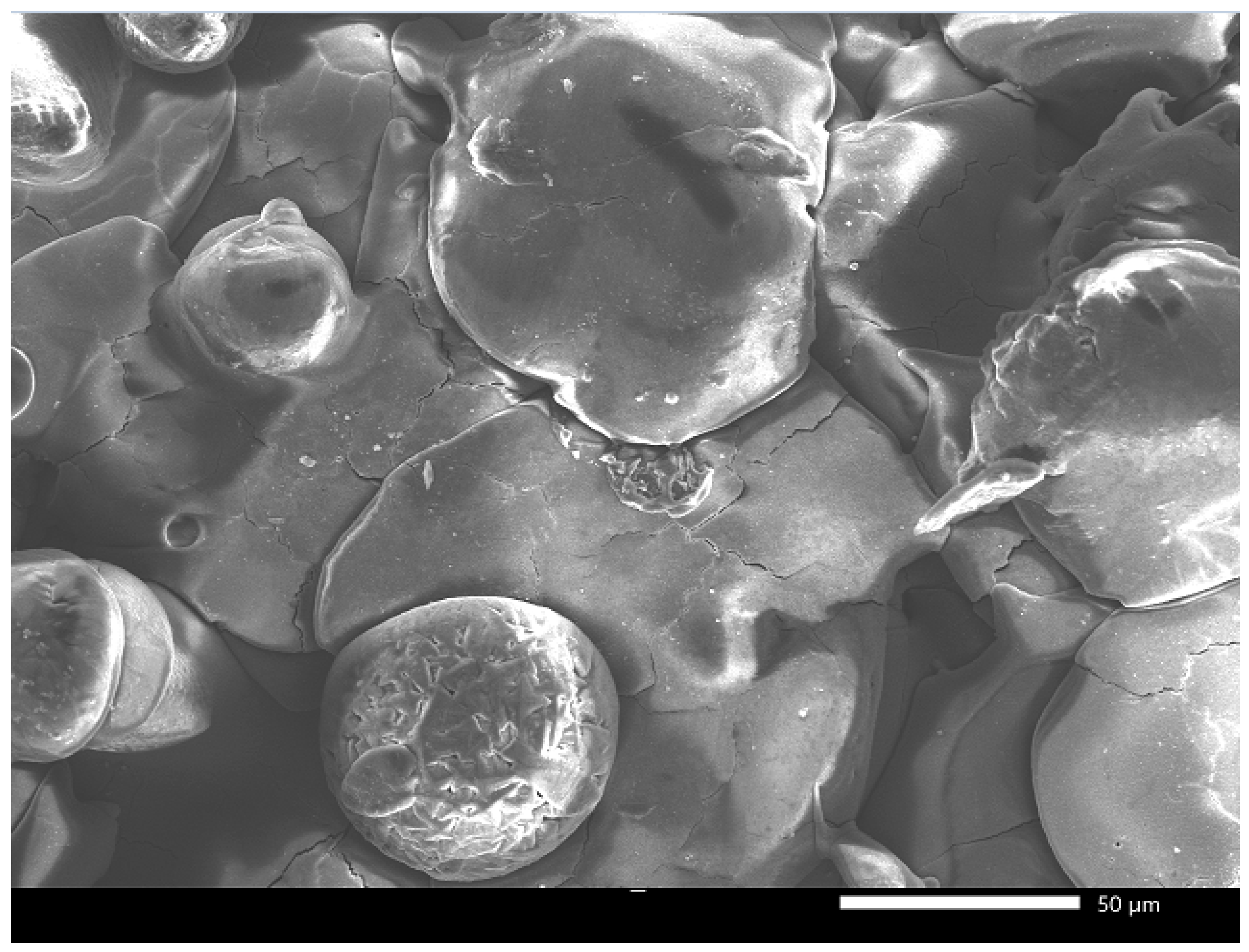 Buildings 14 01543 g012