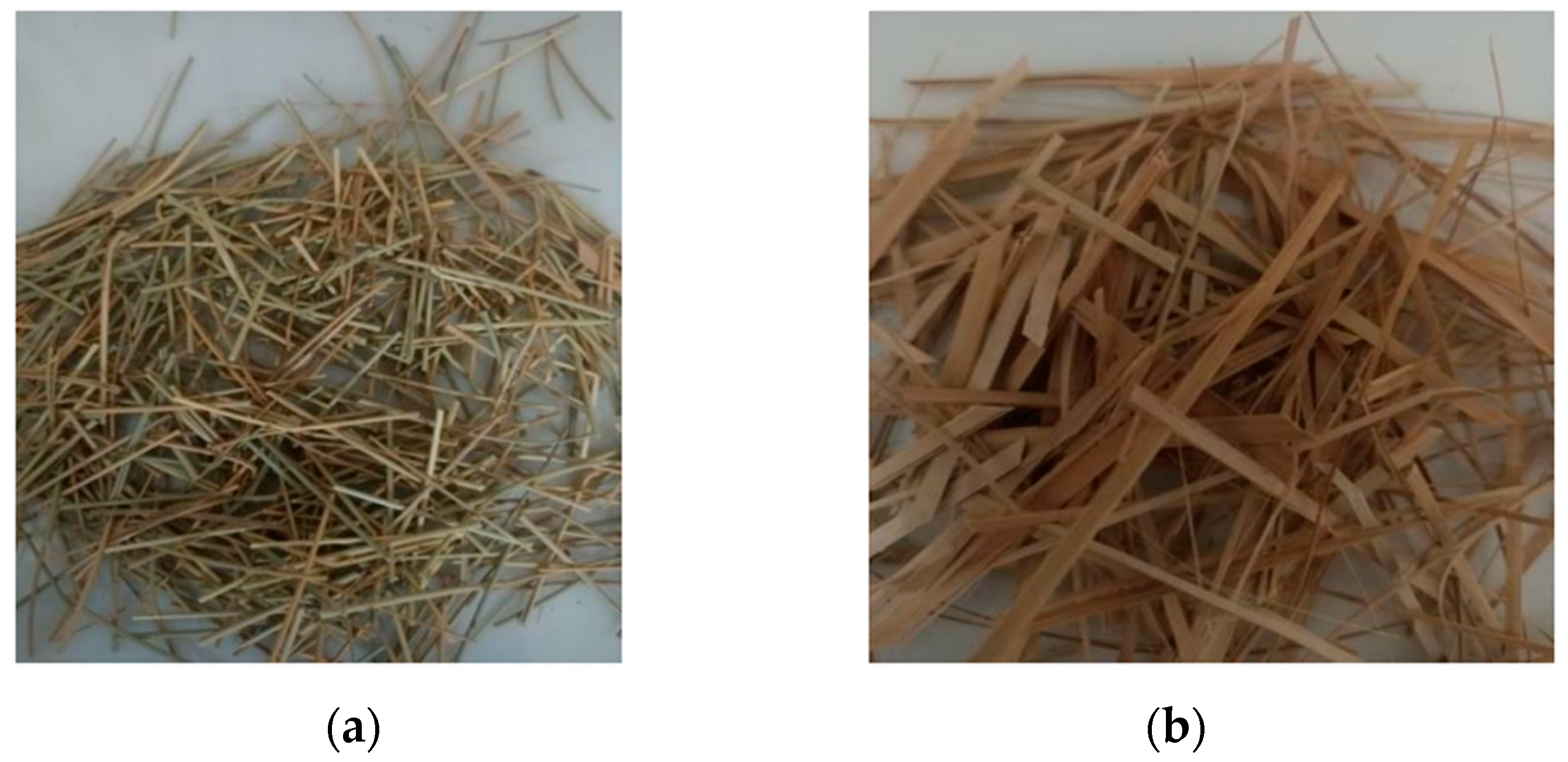 Buildings 14 01602 g001