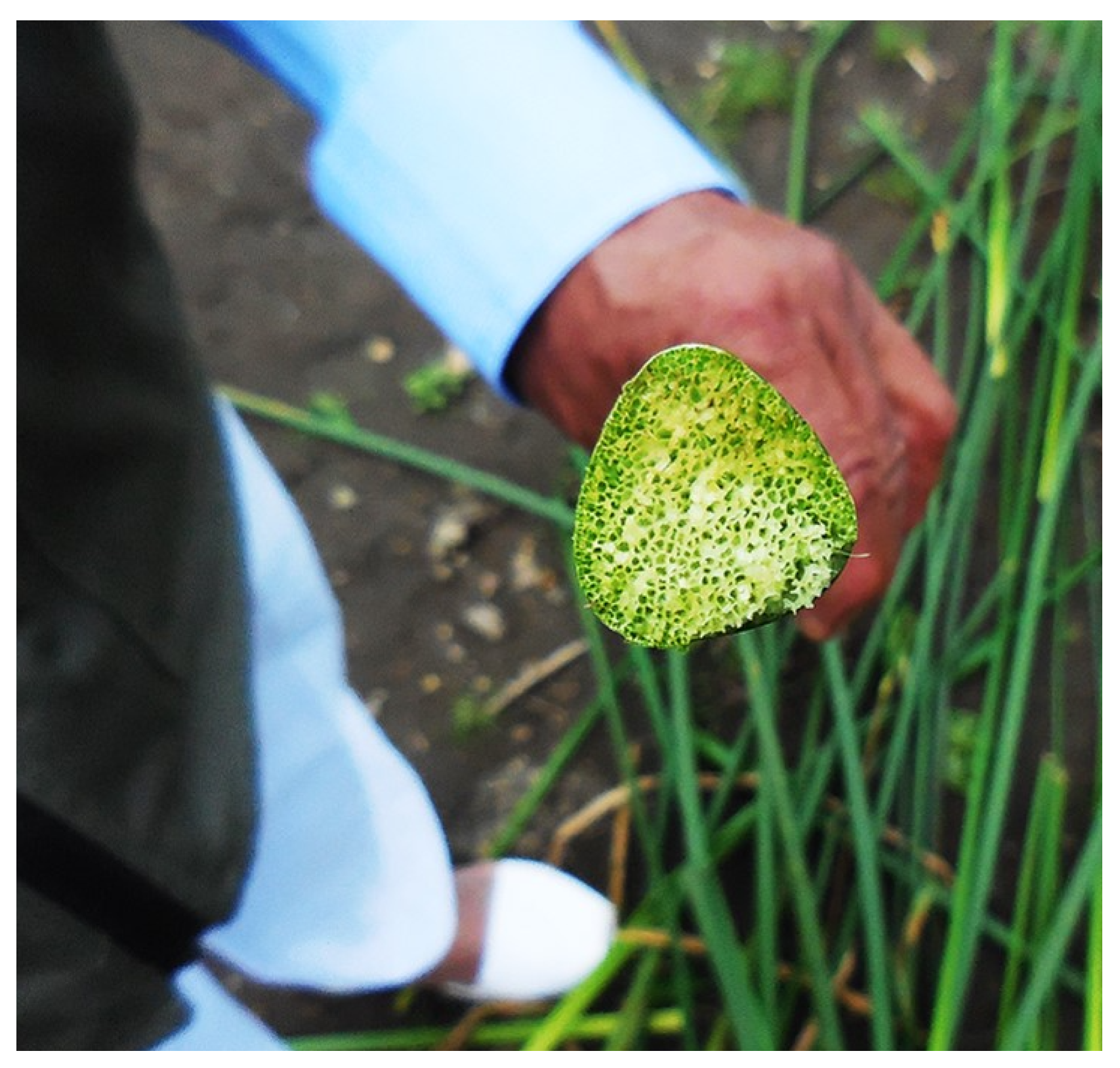 Buildings 14 01703 g003