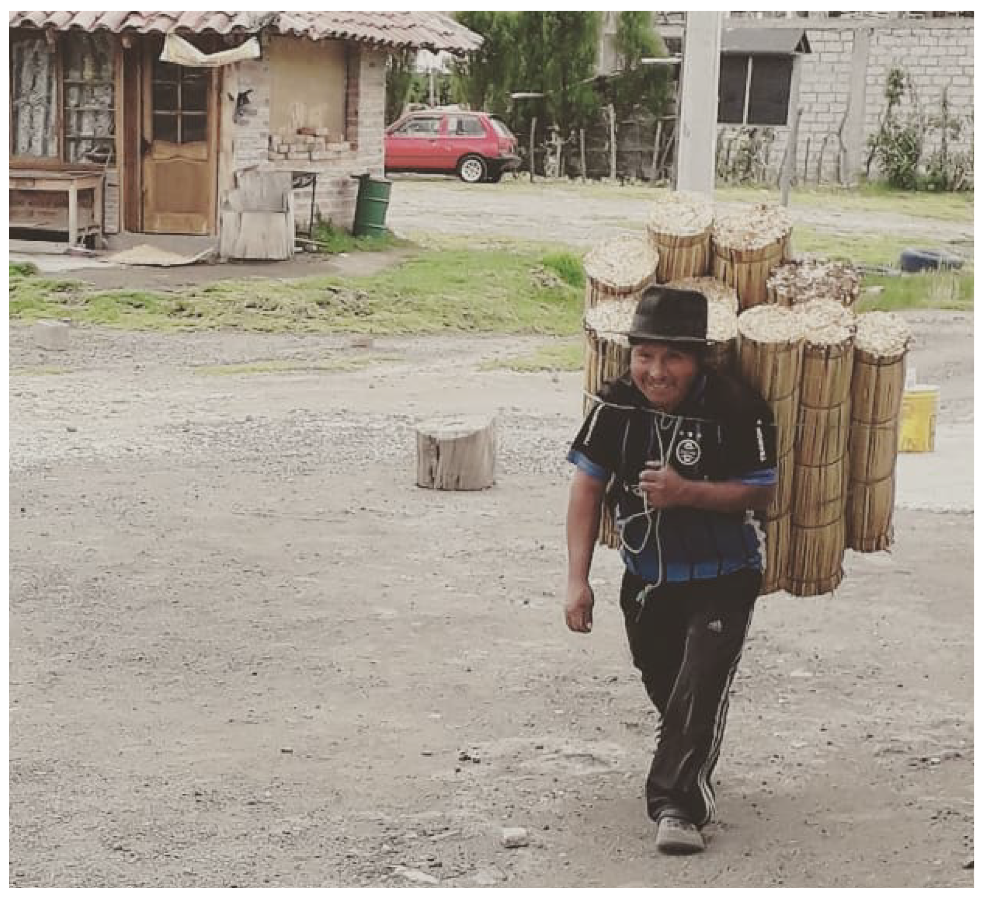 Buildings 14 01703 g005