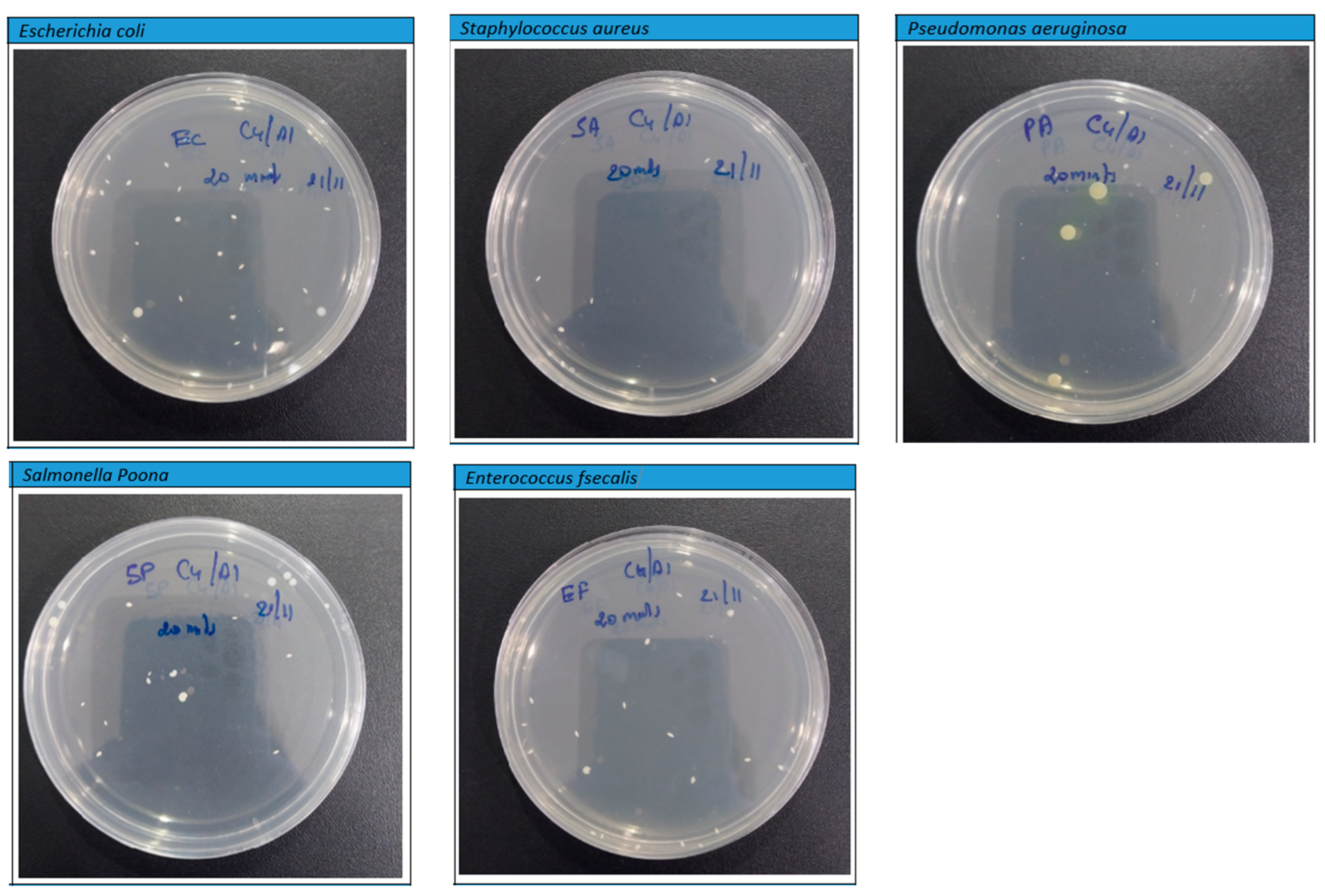 Buildings 14 01717 g011