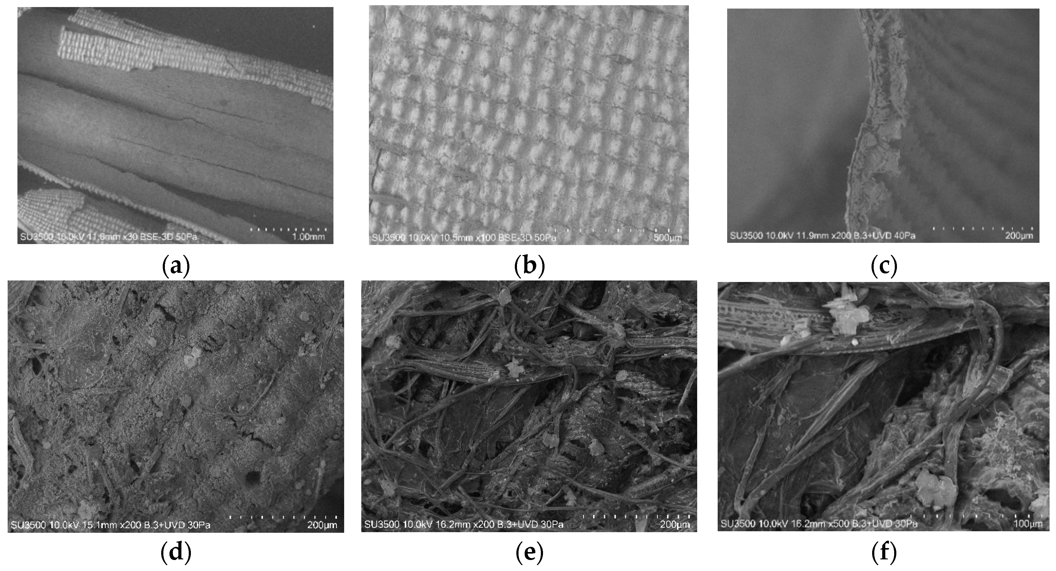 Buildings 14 01720 g007