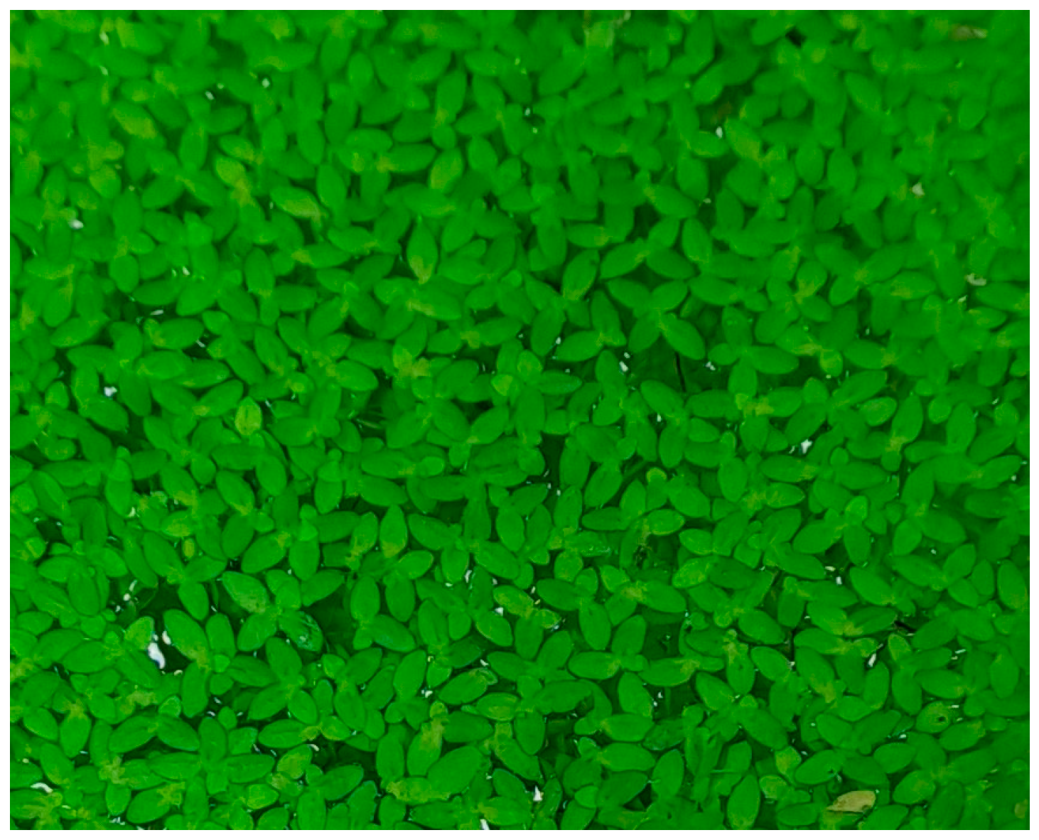 Buildings 14 01721 g003