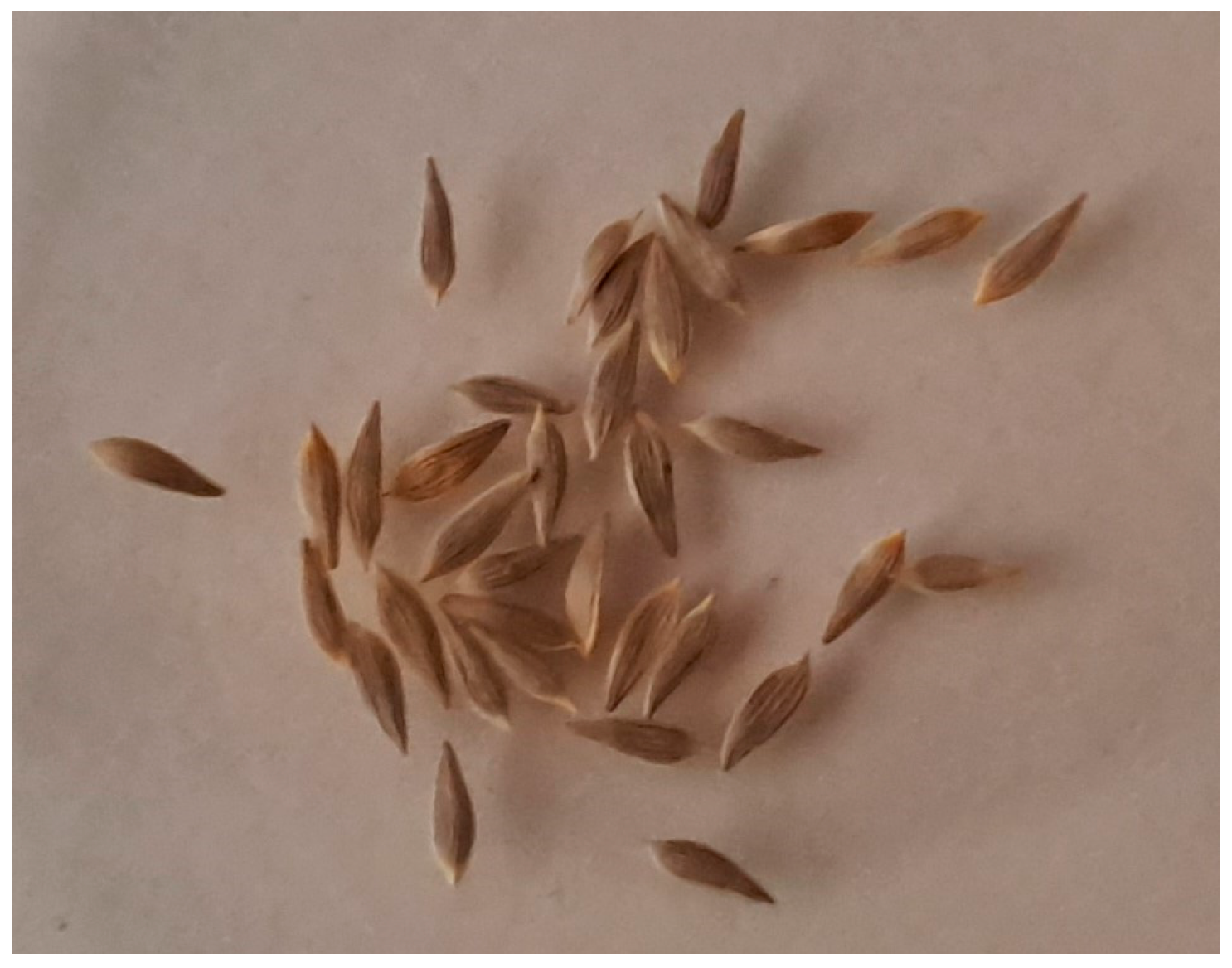 Buildings 14 01721 g004