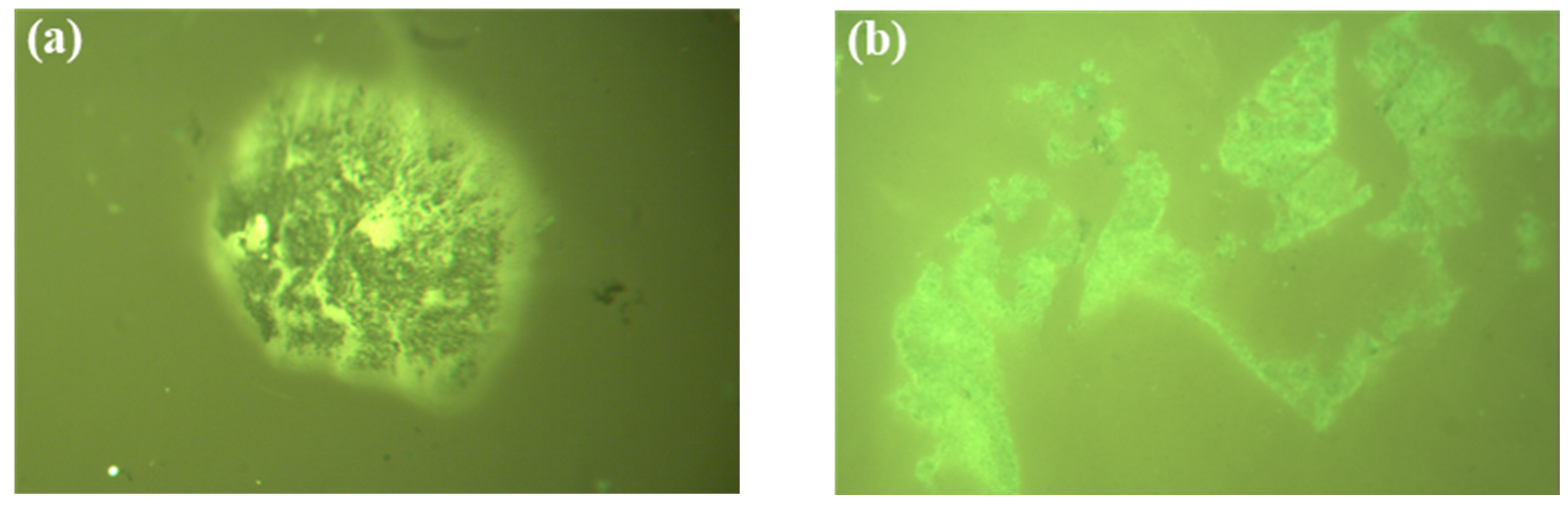 Buildings 14 01722 g010a