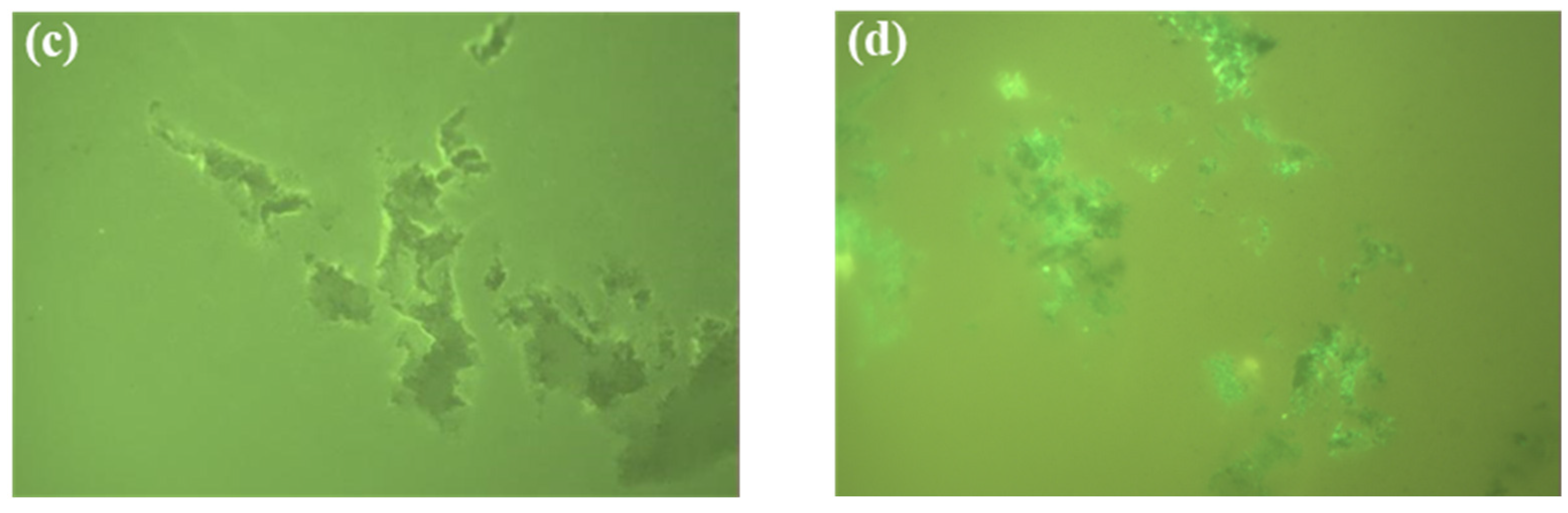 Buildings 14 01722 g010b