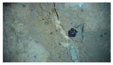 Buildings 14 01744 i002