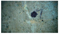 Buildings 14 01744 i003