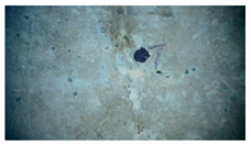 Buildings 14 01744 i004