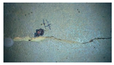 Buildings 14 01744 i006