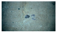 Buildings 14 01744 i012