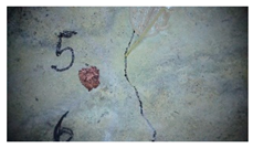 Buildings 14 01744 i013