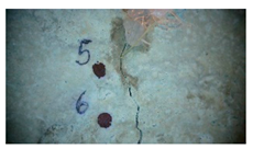 Buildings 14 01744 i014