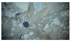 Buildings 14 01744 i016