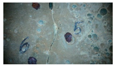 Buildings 14 01744 i019