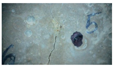 Buildings 14 01744 i020