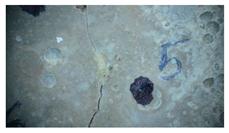 Buildings 14 01744 i021