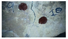 Buildings 14 01744 i023