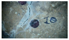 Buildings 14 01744 i026