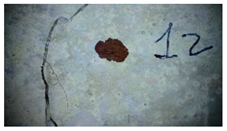 Buildings 14 01744 i033