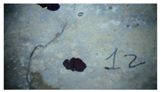 Buildings 14 01744 i035