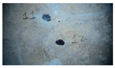 Buildings 14 01744 i037