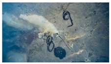 Buildings 14 01744 i045