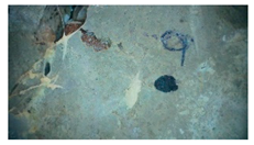 Buildings 14 01744 i052