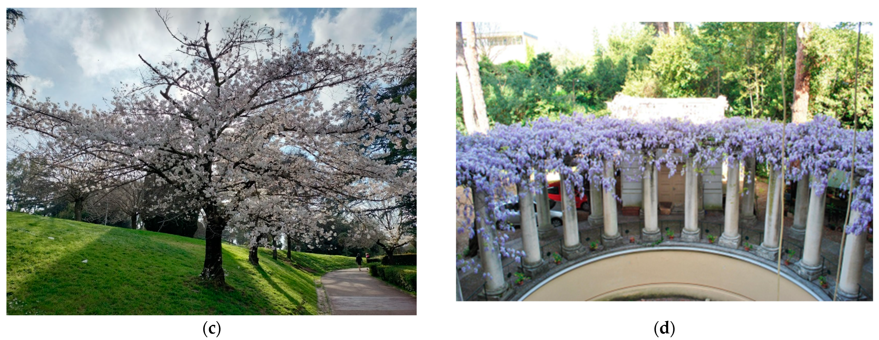 Buildings 14 01920 g012b