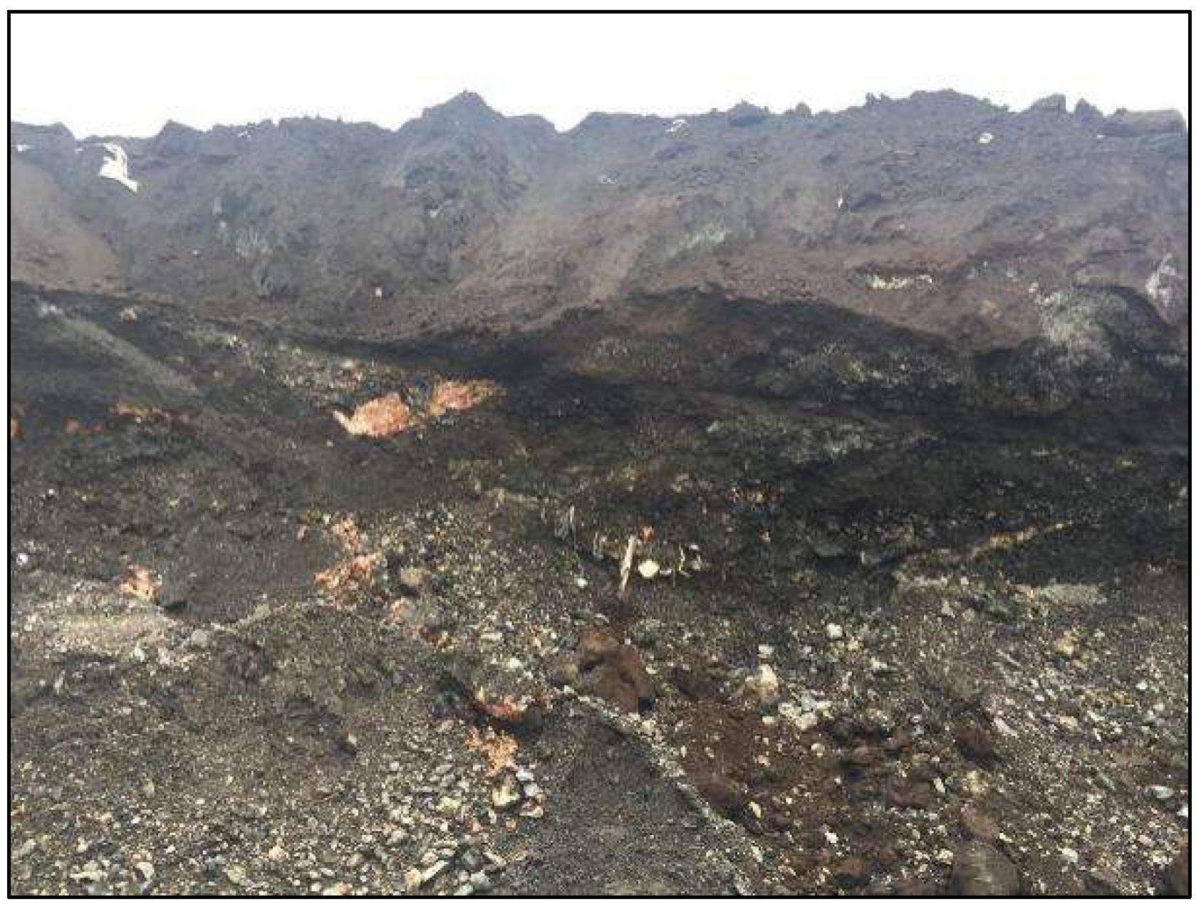 Buildings 14 02092 g001