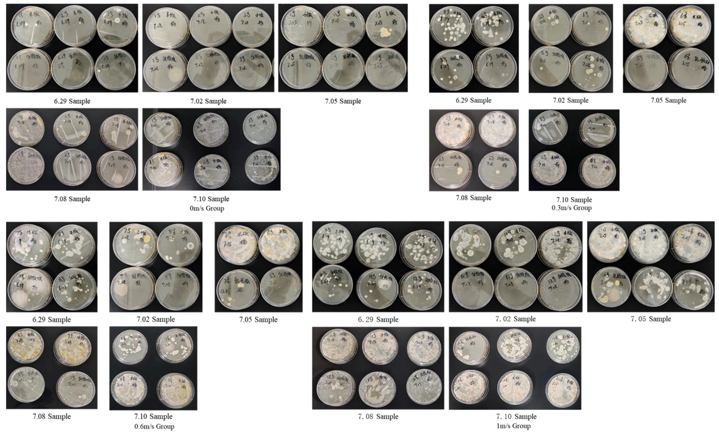 Buildings 14 02145 g010