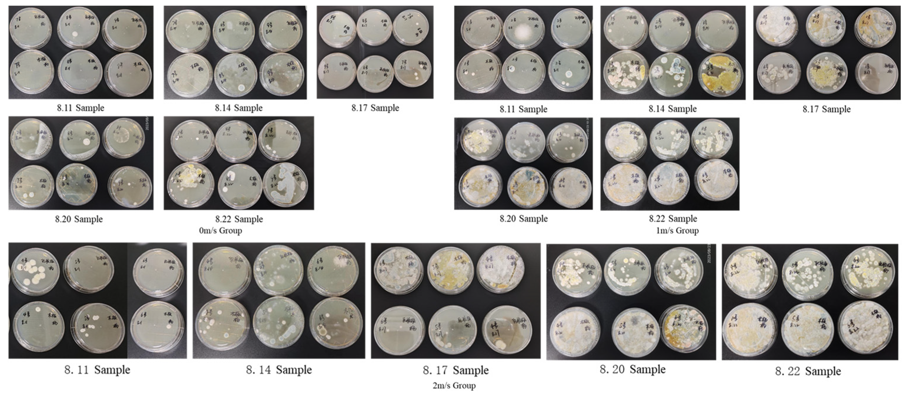 Buildings 14 02145 g012