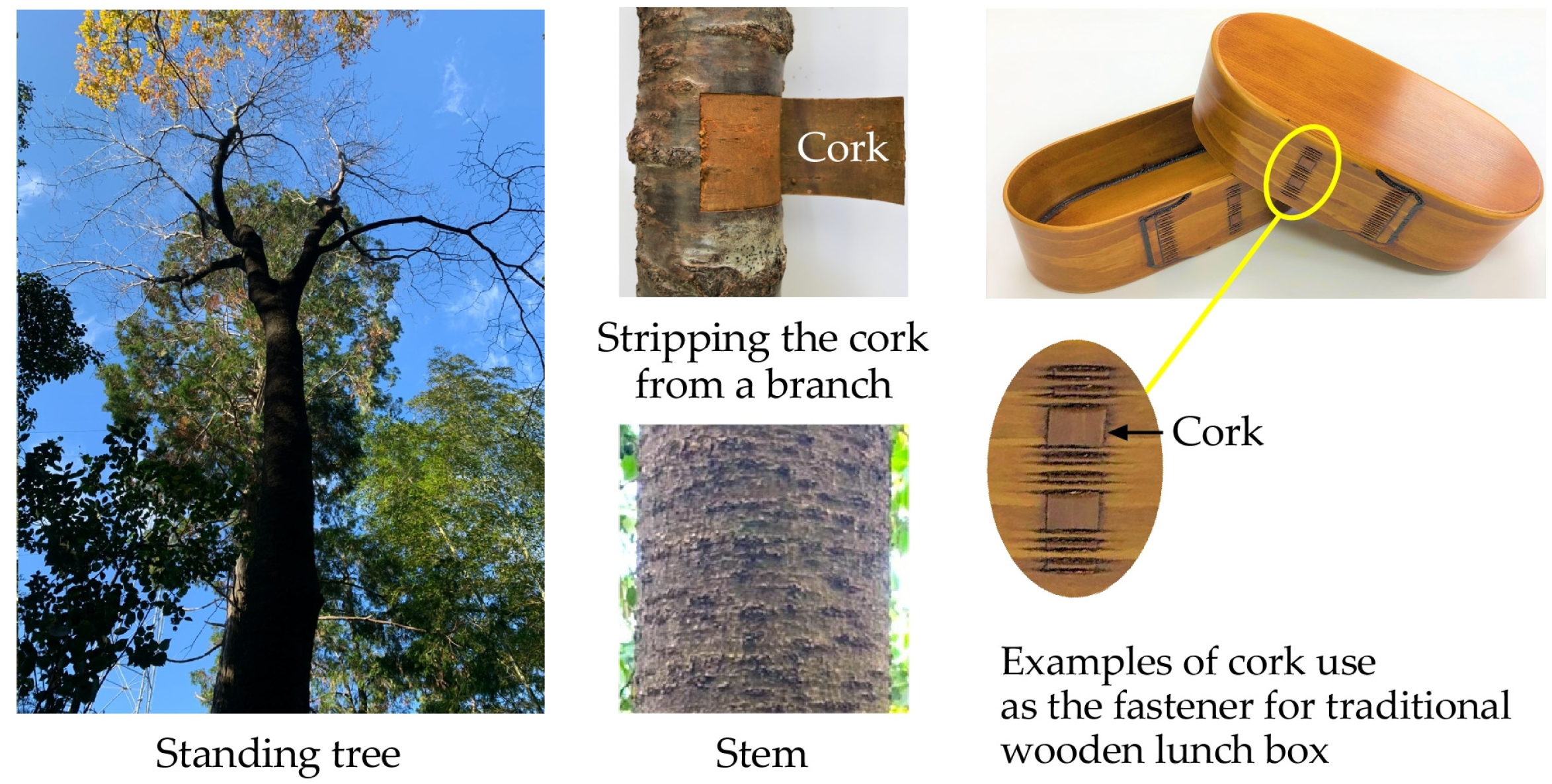 Buildings 14 02411 g001 Buildings 14 02411 g001