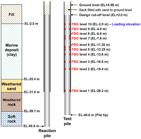 M Numerical study of nanofluid thermo-bioconvection containing