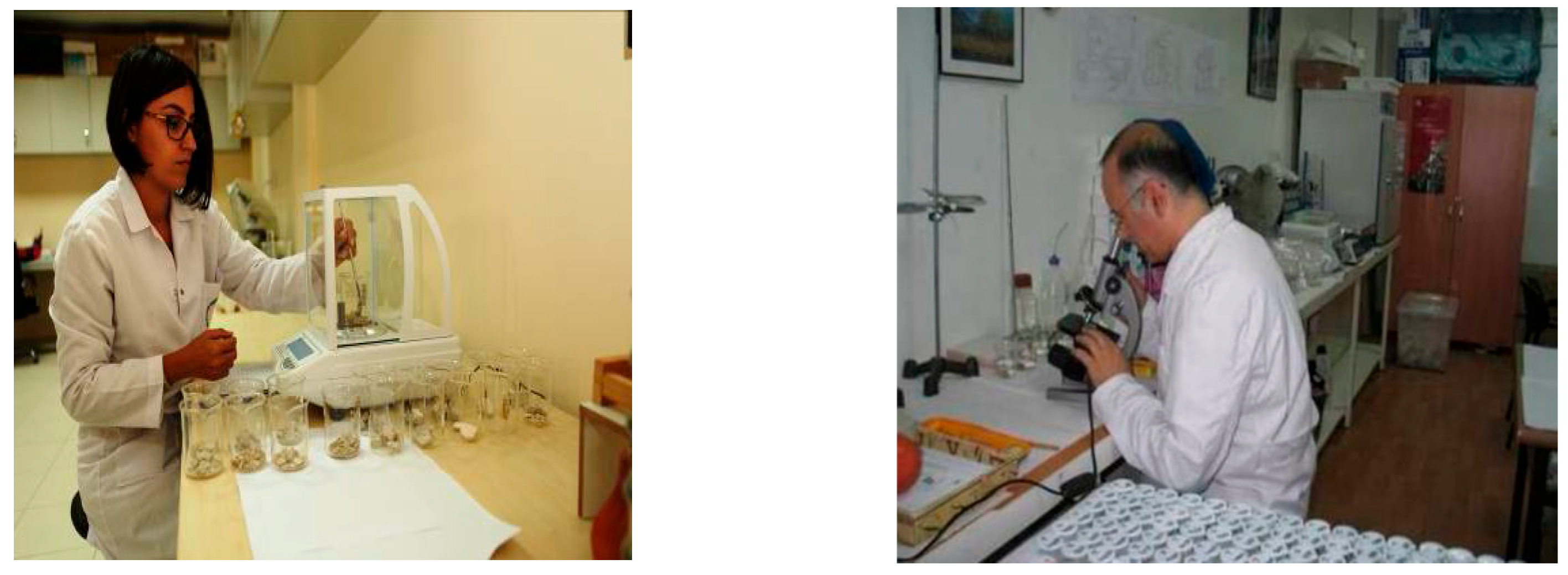 Buildings 14 02743 g009