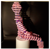 Buildings 14 02866 i024