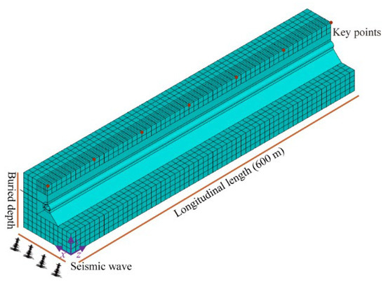Nonlinear Seismic Response of Tunnel Structures under