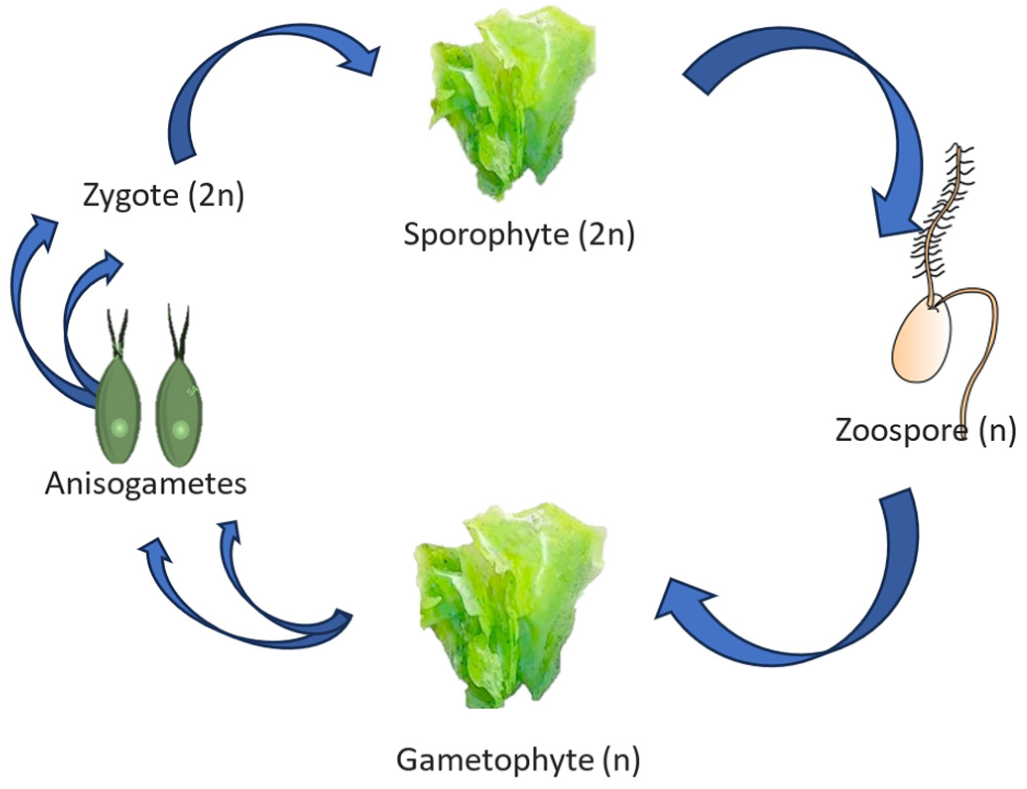 Buildings 14 03086 g001