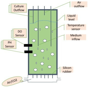 Buildings 14 03086 i004