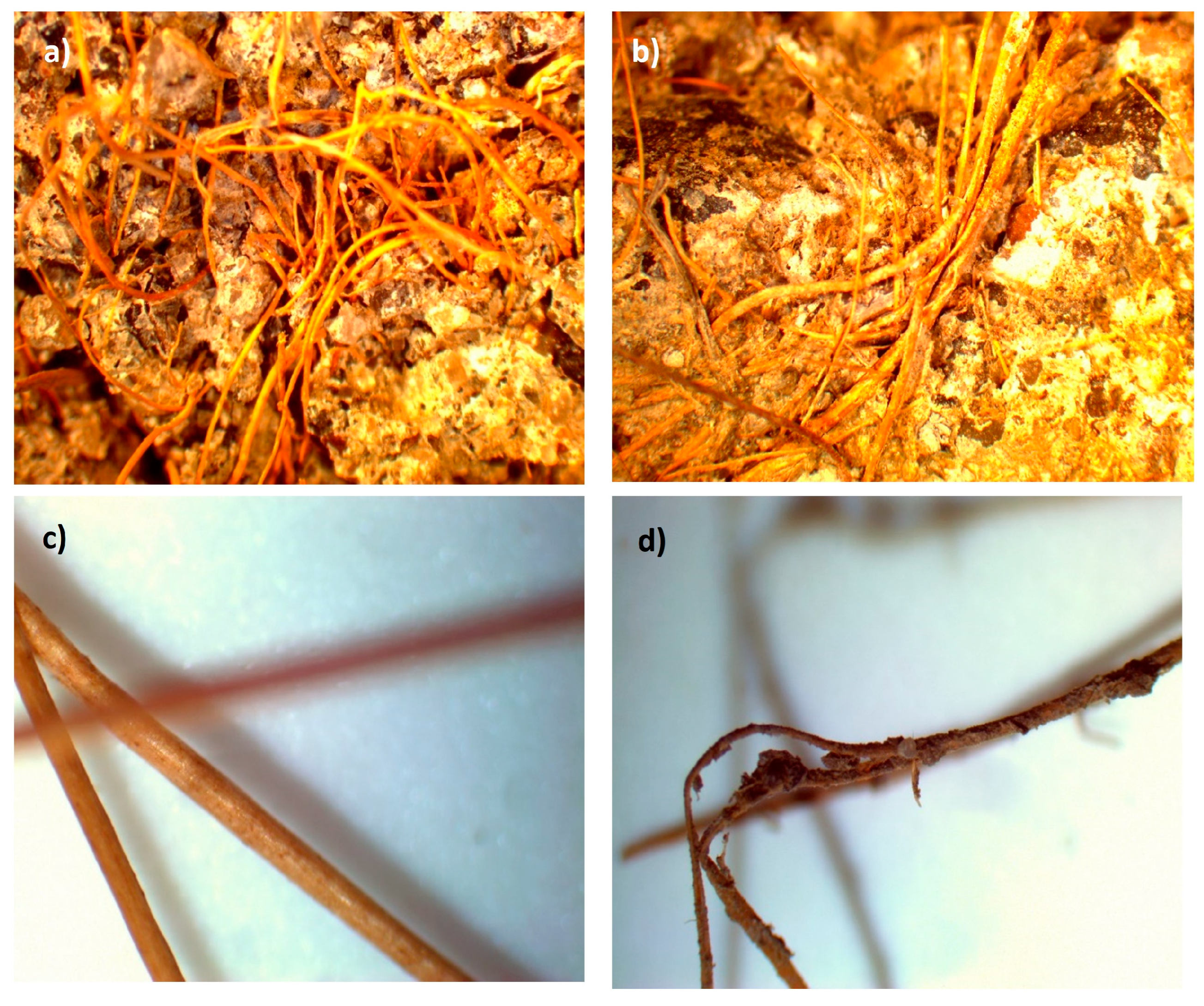 Buildings 14 03092 g004