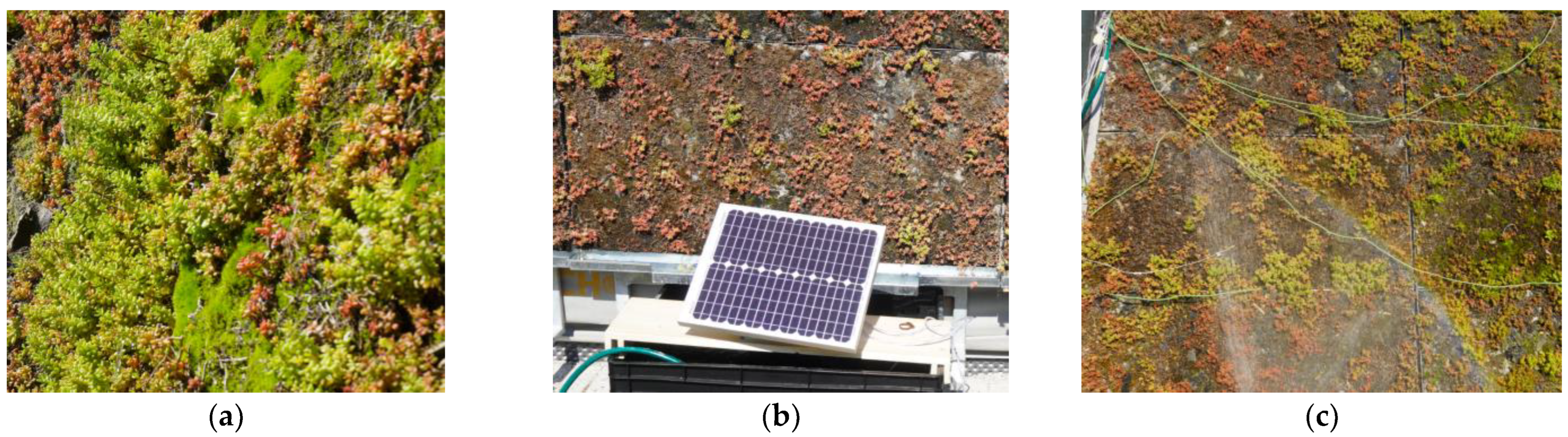 Buildings 14 03181 g002